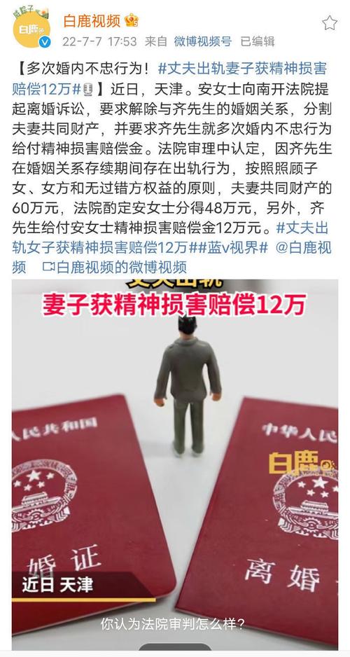 婚内出轨精神损害抚慰金案件 __孩子出轨